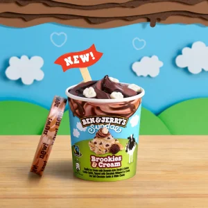 Ben & Jerry's  Brookieees&Cream