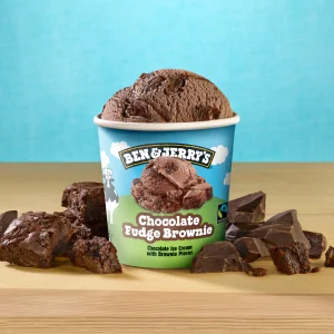 Ben & Jerry's  Chocolate Fudge Brownie