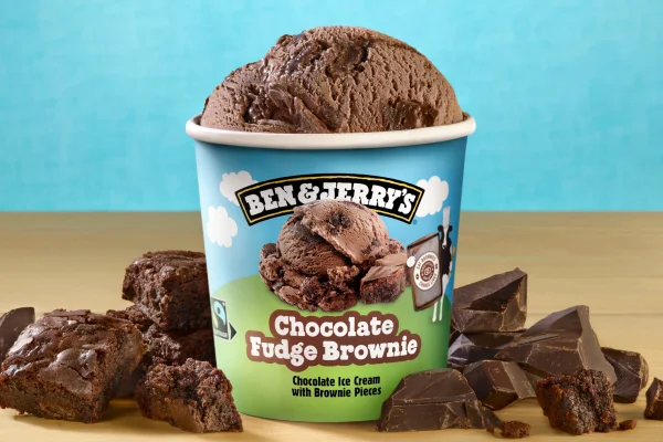 Ben & Jerry's Chocolate Fudge Brownie